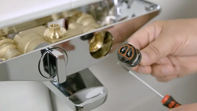 Oras Esteta - Diverter maintenance